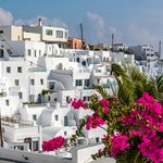 Red and pink bougainvillea contrast with the white stucco and blue sky of Santorini | Photo taken by David B