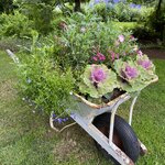 Photo taken by Christina L