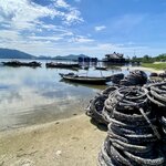 Photo taken by Jacqui O