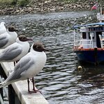 Photo taken by Rahul S