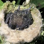 Photo taken by Patrice G