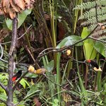 Photo taken by Ben B