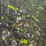 Photo taken by Bailey W