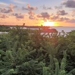 Photo taken by Simon K