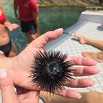 Photo taken by Carol H