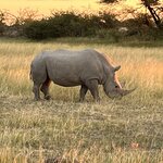 Photo taken by Joaquin M