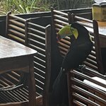 Photo taken by Martin L