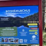 Photo taken by Danielle P