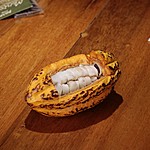 Photo taken by Marcia G