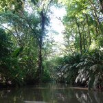 Photo taken by Gill P