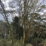 Photo taken by Virginia H