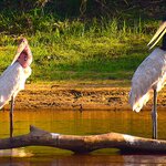 Photo taken by Dennis H