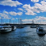 Photo taken by Anna K