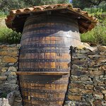 Photo taken by Jon C