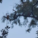 Photo taken by Cayden S