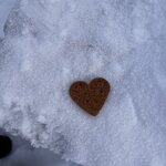 Photo taken by Raylene C