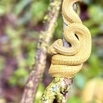 Photo taken by KLAUS A