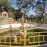 Photo taken by Cayden S