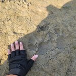 Photo taken by Cayden S