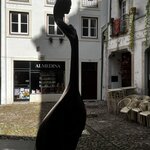 Photo taken by Dee C