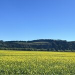 Photo taken by Wendell C