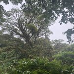 Photo taken by Karen P