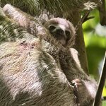 Photo taken by Ben B