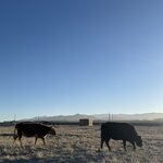 Photo taken by Joseph K