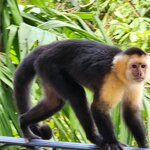 Photo taken by Tenley G