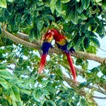 Photo taken by Mary D