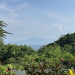 Photo taken by Mariah C