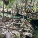 Photo taken by Imogen E