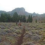 Photo taken by Nicholas T