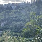 Photo taken by Mick K