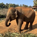 Photo taken by Steph V