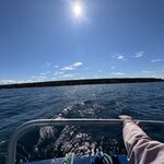 Photo taken by Dawn S