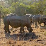 Photo taken by Tom B