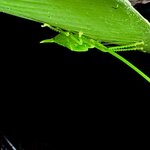 Photo taken by Mary D