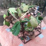 Photo taken by Claudia S