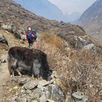 Photo taken by Sin kwan P