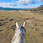 Photo taken by Stefani C