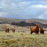 Photo taken by Marcy B