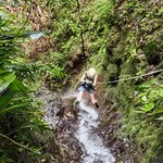 Photo taken by Shane S