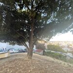 Photo taken by Kaisha S