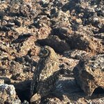 Photo taken by Mark A