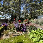 Photo taken by Ken K