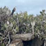 Photo taken by Maggie K