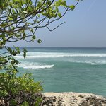 Photo taken by Dixie W