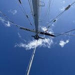 Photo taken by Trish G