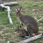 Photo taken by Lori V